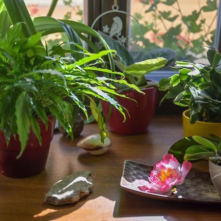 Penzion a wellness U Třeboňské madony Esterno foto