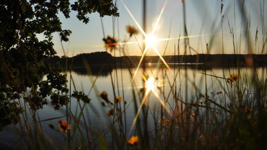 Penzion a wellness U Třeboňské madony Esterno foto