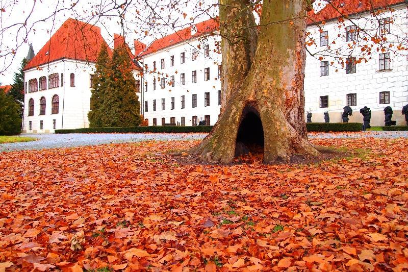 Penzion a wellness U Třeboňské madony Esterno foto